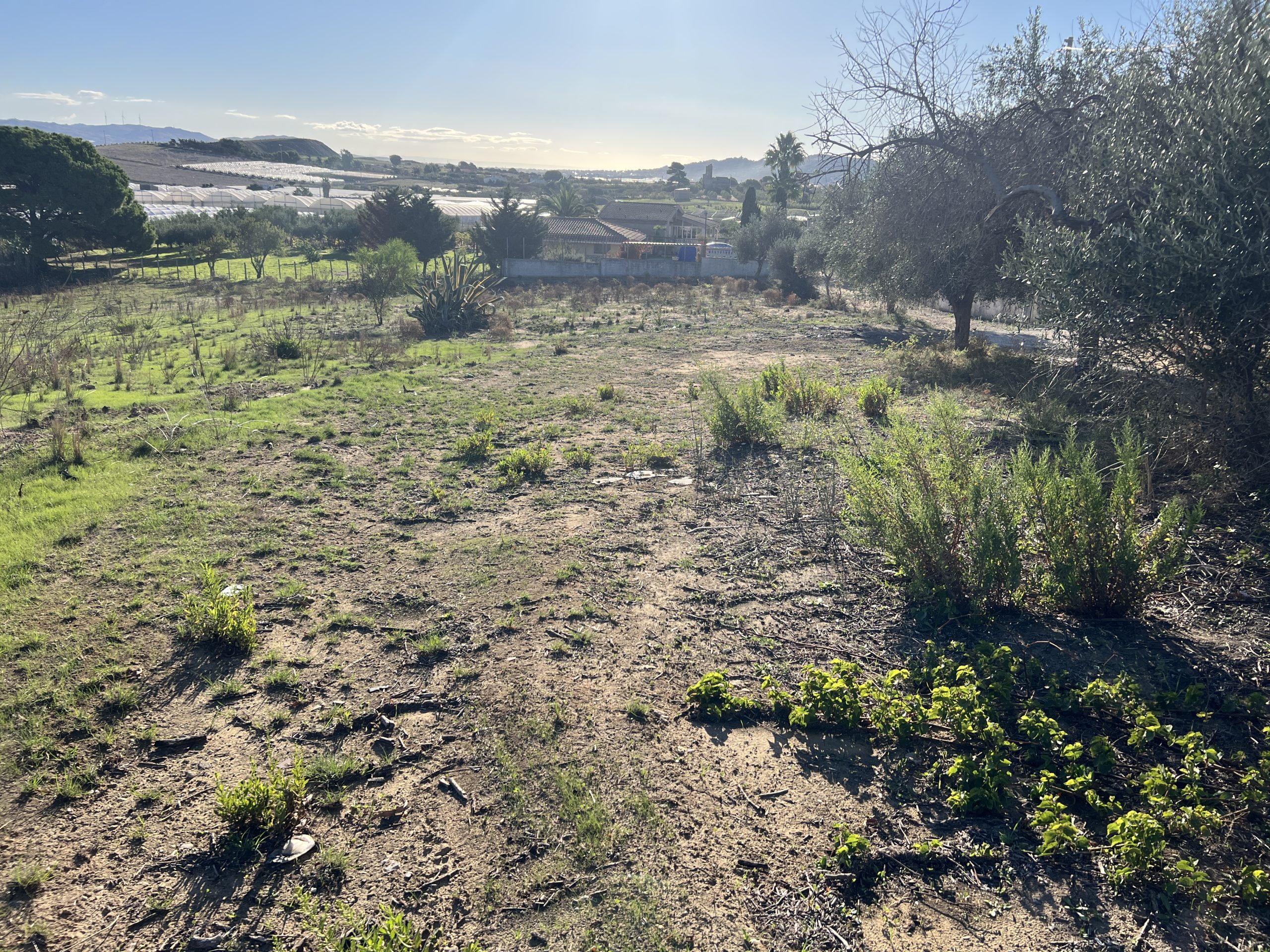 Terreno in vendita in Contrada Poggio Carrubella