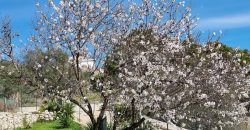 Villetta vista mare contrada Montesole Villetta vista mare contrada Montesole