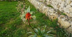 Villetta vista mare contrada Montesole Villetta vista mare contrada Montesole