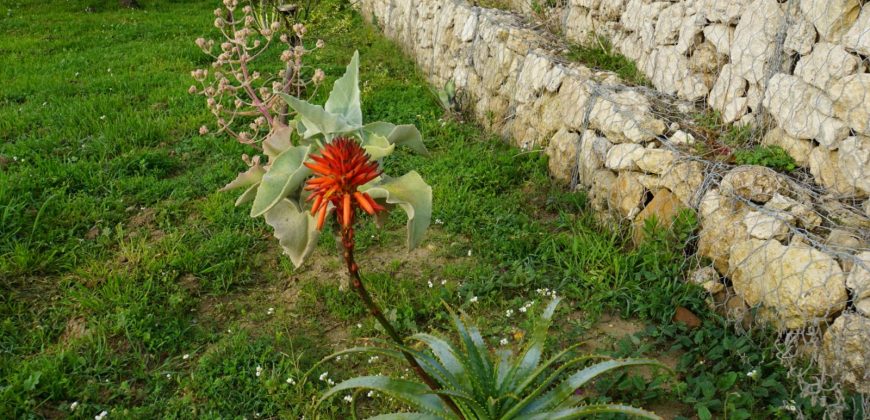 Villetta vista mare contrada Montesole