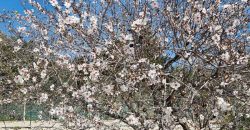 Villetta vista mare contrada Montesole Villetta vista mare contrada Montesole