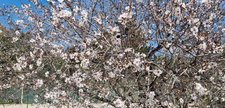 Villetta vista mare contrada Montesole